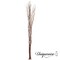 Uniquewise 12 pcs Natural Decorative Dry Branches Authentic Sticks, Home Decoration and Wedding Craft, DIY Greenery Plants Craft Vases fillers Garden Hotel Farmhouse Decor